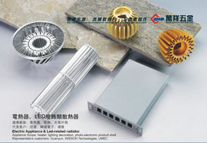 Electric heater and LED lamp type radiator